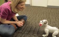 索尼的机器人玩具狗刚刚有了自己的玩具