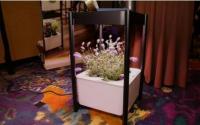 MiracleGro在国际消费电子展上尝试简化室内花盆