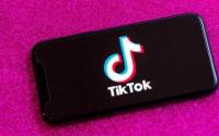 TikTok该应用程序非法获取了数百万儿童的数据
