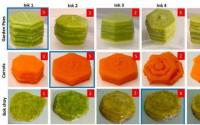3D打印食品保留新鲜和冷冻蔬菜的营养和风味