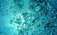 研究人员发现了有关滤水膜如何工作的新见解