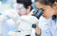 研究人员在实验室中生物打印微型人体肾脏