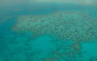 研究人员使用水下扬声器将鱼引诱到大堡礁