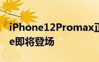 iPhone12Promax正式发布 史上最强iPhone即将登场