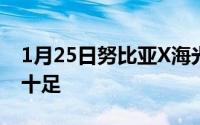1月25日努比亚X海光蓝版明日开售双屏魅力十足