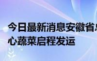 今日最新消息安徽省总工会捐赠上海市抗疫爱心蔬菜启程发运