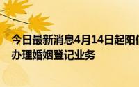 今日最新消息4月14日起阳信县民政局婚姻登记处逐步恢复办理婚姻登记业务
