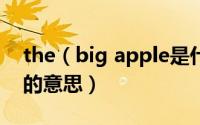 the（big apple是什么意思 the big apple的意思）
