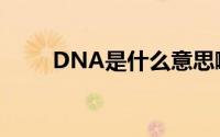 DNA是什么意思啊（DNA的解释）