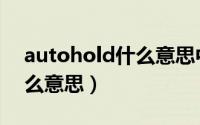 autohold什么意思中文翻译（autohold什么意思）