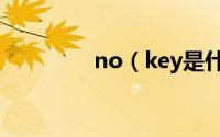 no（key是什么意思本田）