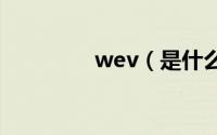 wev（是什么牌子车vv7）