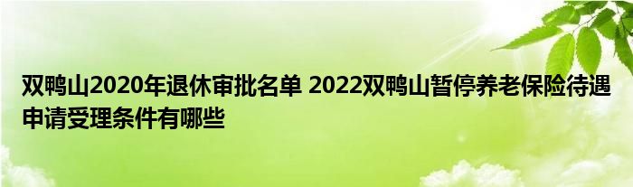 双鸭山2020年退休审批名单 2022双鸭山暂停养老保险待遇申请受理条件有哪些