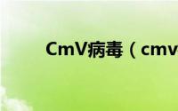 CmV病毒（cmv病毒是什么意思）