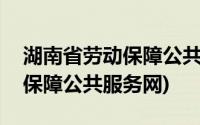 湖南省劳动保障公共服务网app(湖南省劳动保障公共服务网)