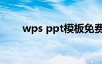 wps ppt模板免费版(wps ppt模板)