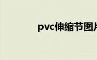 pvc伸缩节图片(伸缩节图片)