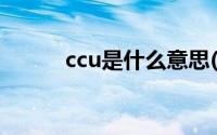 ccu是什么意思(ecu是什么意思)
