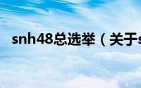 snh48总选举（关于snh48总选举的介绍）