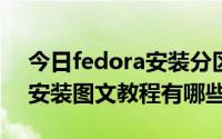今日fedora安装分区方案（fedora 19 u盘安装图文教程有哪些）