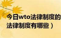 今日wto法律制度的基本原则（WTO的主要法律制度有哪些）