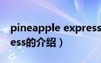 pineapple express（关于pineapple express的介绍）