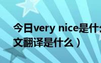 今日very nice是什么意思（very nice的中文翻译是什么）