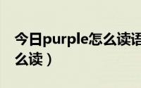今日purple怎么读语音什么意思（purple怎么读）