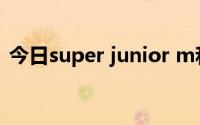 今日super junior m和super junior的区别