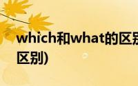 which和what的区别口诀(which和what的区别)