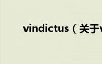 vindictus（关于vindictus的介绍）