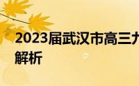 2023届武汉市高三九月调考数学试卷及答案解析