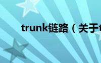 trunk链路（关于trunk链路的介绍）