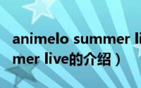 animelo summer live（关于animelo summer live的介绍）
